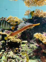 葛西臨海水族園に投稿された画像（2026/3/22）