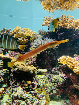 葛西臨海水族園に投稿された画像（2026/3/22）