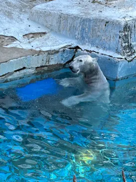 天王寺動物園に投稿された画像（2026/3/22）
