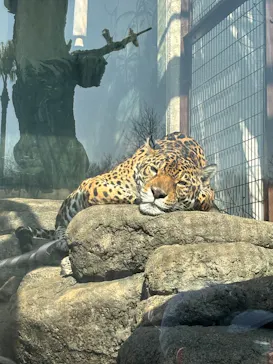 天王寺動物園に投稿された画像（2026/3/22）