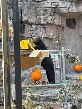 天王寺動物園に投稿された画像（2026/3/22）