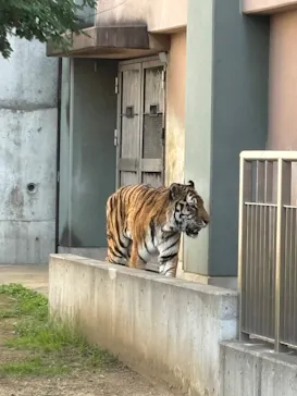 天王寺動物園に投稿された画像（2026/3/22）