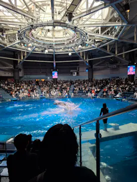 マクセル アクアパーク品川に投稿された画像（2026/3/22）