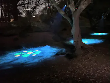 六義園に投稿された画像（2026/3/22）