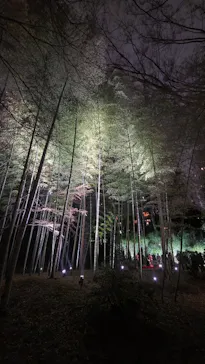 六義園に投稿された画像（2026/3/22）