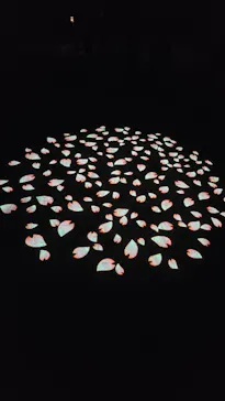 六義園に投稿された画像（2026/3/22）