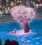 マクセル アクアパーク品川に投稿された画像（2026/3/22）