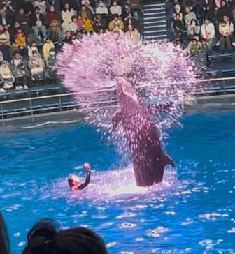 マクセル アクアパーク品川に投稿された画像（2026/3/22）