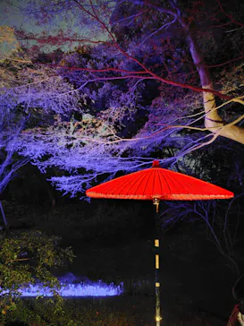 六義園に投稿された画像（2026/3/22）