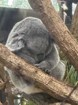 こども動物自然公園（埼玉県公園緑地協会）に投稿された画像（2026/3/22）