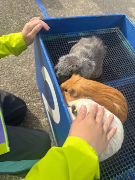 こども動物自然公園（埼玉県公園緑地協会）に投稿された画像（2026/3/22）