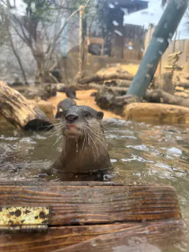 こども動物自然公園（埼玉県公園緑地協会）に投稿された画像（2026/3/22）