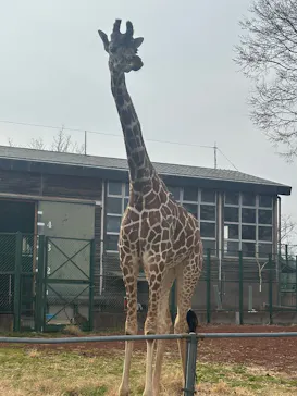 こども動物自然公園（埼玉県公園緑地協会）に投稿された画像（2026/3/22）
