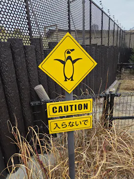 天王寺動物園に投稿された画像（2026/3/22）