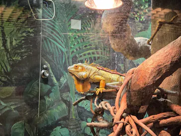 天王寺動物園に投稿された画像（2026/3/22）