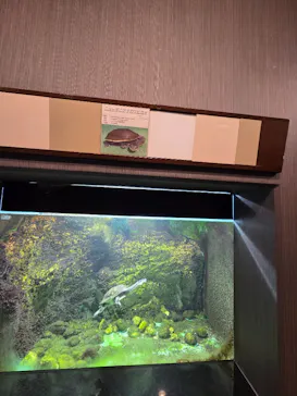 天王寺動物園に投稿された画像（2026/3/22）