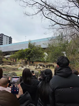 天王寺動物園に投稿された画像（2026/3/22）