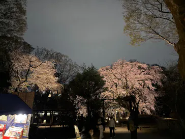 六義園に投稿された画像（2026/3/22）