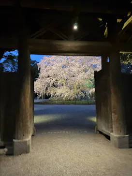 六義園に投稿された画像（2026/3/22）