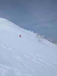 星野リゾート　トマムスキー場に投稿された画像（2026/3/22）