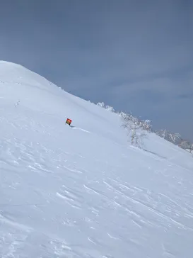 星野リゾート　トマムスキー場に投稿された画像（2026/3/22）