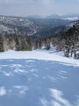 星野リゾート　トマムスキー場に投稿された画像（2026/3/22）