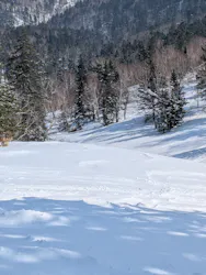 星野リゾート　トマムスキー場に投稿された画像（2026/3/22）