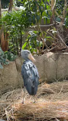 那須どうぶつ王国に投稿された画像（2026/3/22）