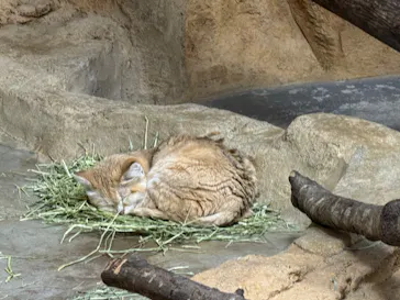 那須どうぶつ王国に投稿された画像（2026/3/22）