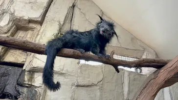 那須どうぶつ王国に投稿された画像（2026/3/22）