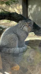 那須どうぶつ王国に投稿された画像（2026/3/22）