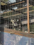 恩賜上野動物園に投稿された画像（2026/3/22）