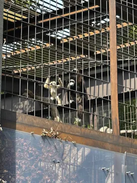 恩賜上野動物園に投稿された画像（2026/3/22）