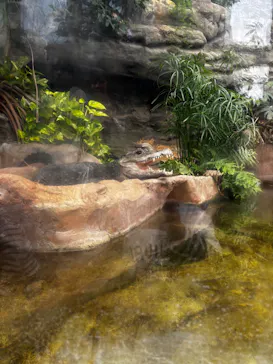 恩賜上野動物園に投稿された画像（2026/3/22）