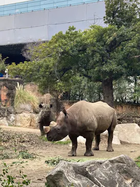 天王寺動物園に投稿された画像（2026/3/22）