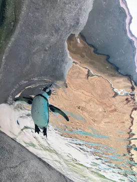 天王寺動物園に投稿された画像（2026/3/22）