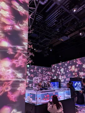 マクセル アクアパーク品川に投稿された画像（2026/3/22）