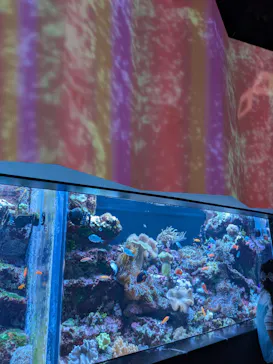 マクセル アクアパーク品川に投稿された画像（2026/3/22）