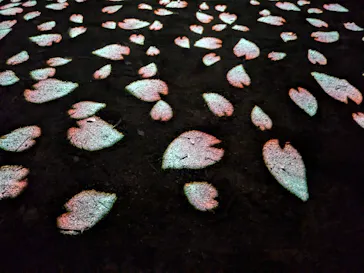 六義園に投稿された画像（2026/3/22）