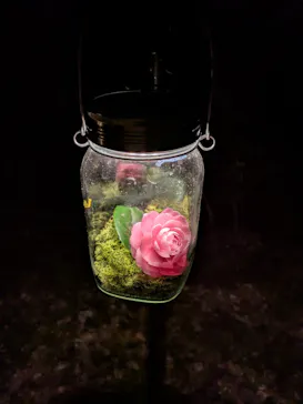 六義園に投稿された画像（2026/3/22）