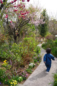 横浜イングリッシュガーデンに投稿された画像（2026/3/22）