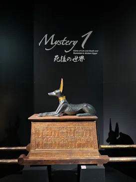 MYSTERY OF TUTANKHAMEN 体感型古代エジプト展に投稿された画像（2026/3/22）