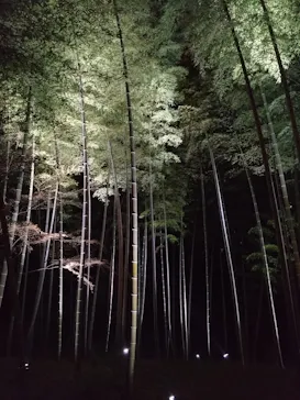 六義園に投稿された画像（2026/3/22）