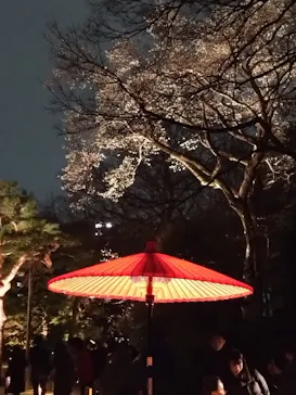 六義園に投稿された画像（2026/3/22）