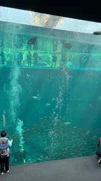 環境水族館アクアマリンふくしまに投稿された画像（2026/3/22）