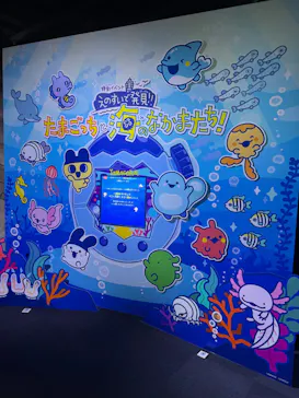 新江ノ島水族館に投稿された画像（2026/3/22）