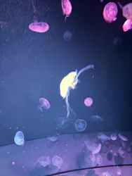 サンシャイン水族館に投稿された画像（2026/3/22）