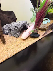 サンシャイン水族館に投稿された画像（2026/3/22）