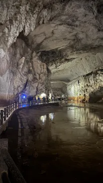 秋芳洞に投稿された画像（2026/3/22）