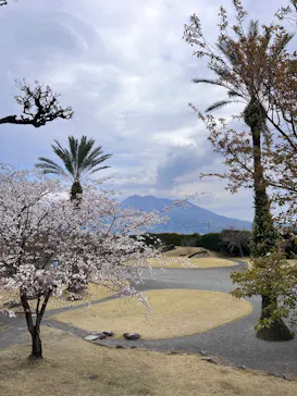 仙巌園に投稿された画像（2026/3/22）